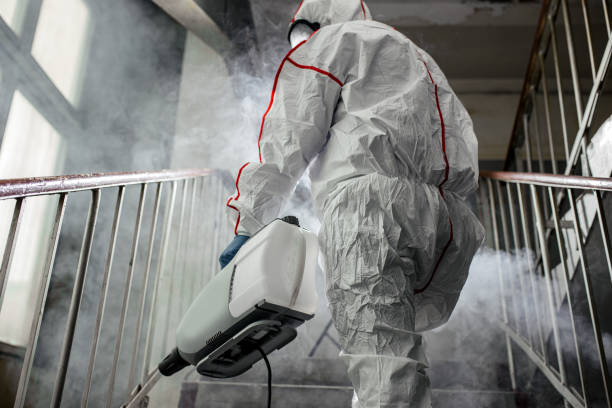 Professional Mold Removal in Lochbuie, CO